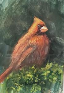 CARDINAL  |  Water Color-Gouache  |  7 x 5  |  11 x 9 Framed  |  $350