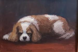 SLEEEPING CAVALIER  |  Oil on board  |  5 x 7  |  11 x 13 Framed  |  $450