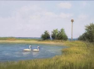 SWANS AND OSPREY  |  Oil on canvas  |   12 x 16  |  18 x 22 Framed  |  $1200